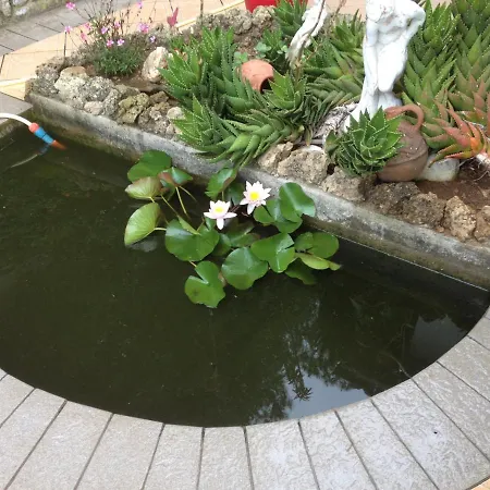 In 2 To 3 Persons With Large Private Garden Capoliveri (Isola d'Elba)