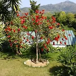 In 2 To 3 Persons With Large Private Garden アパート カポリーヴェリ