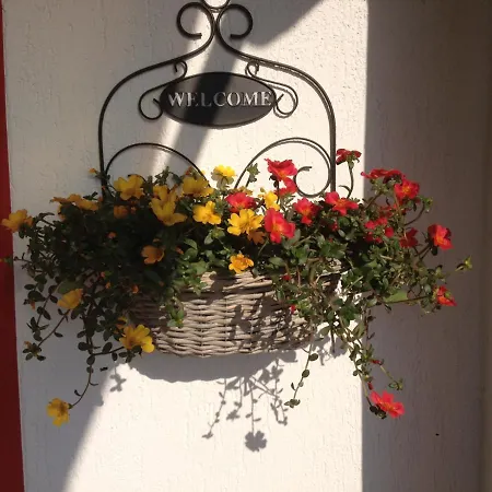 In 2 To 3 Persons With Large Private Garden *